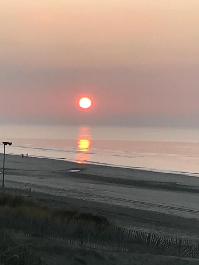 Schelvis Apartments Zandvoort Eksteriør billede